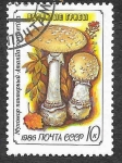Stamps Russia -  5456 - Seta Venenosa