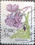 Stamps Ireland -  Scott#1728 ji intercambio 1,50 usd, 55 cents. 2007