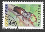 Stamps : Europe : Bulgaria :  3713 - Escarabajo Ciervo