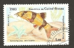 Sellos de Africa - Guinea Bissau -  499