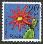Stamps Poland -  2493 - Flores