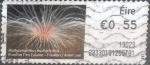 Stamps Ireland -  Scott#ATM33 , intercambio 0,20 usd. 0,55 €. 2012