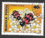 Stamps Hungary -  2625 -  Insectos Polinizando Flores