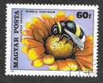 Stamps : Europe : Hungary :  2626 -  Insectos Polinizando Flores