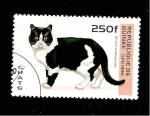 Stamps : Africa : Guinea :  1362