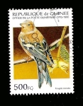Stamps : Africa : Guinea :  1271