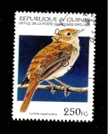 Stamps : Africa : Guinea :  1269