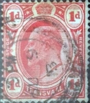 Stamps United Kingdom -  Scott Transvaal #282 , intercambio 0,20 usd. 1 d. 1905