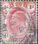 Stamps Europe - United Kingdom -  Scott Transvaal #282 , intercambio 0,20 usd. 1 d. 1905