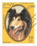 Stamps : Africa : Morocco :  perros