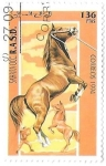 Stamps : Africa : Morocco :  caballos