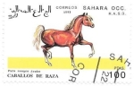 Stamps Morocco -  caballos