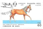 Sellos de Africa - Marruecos -  caballos