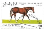Stamps Morocco -  caballos