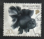 Stamps Singapore -  Oranda negra