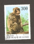 Stamps : Africa : Guinea :  SC2
