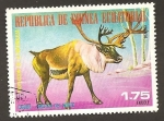 Stamps Equatorial Guinea -  SC16