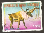 Sellos de Africa - Guinea Ecuatorial -  SC16