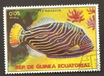 Stamps Equatorial Guinea -  SC23