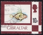 Sellos de Europa - Gibraltar -  Pez de San Pedro