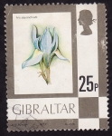Stamps Gibraltar -  Patita de Burro