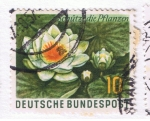 Stamps : Europe : Germany :  Schütz die Pflanzen