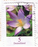 Stamps : Europe : Germany :  Krokus