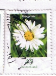 Stamps : Europe : Germany :  Margarite