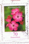 Stamps Germany -  Kartäusernelke