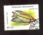 Sellos de Africa - Madagascar -  1194