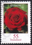 Stamps Germany -  rosa de jardín