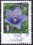 Stamps Germany -  Platycodon grandiflorus