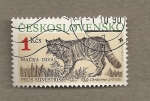 Stamps Europe - Czechoslovakia -  Animales protegidos, Gato montés