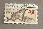 Stamps Czechoslovakia -  Animales protegidos, Marmota