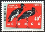 Stamps Democratic Republic of the Congo -  CIGÜEÑA  DE  VIENTRE  BLANCO