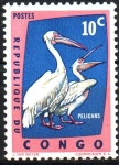 Stamps Democratic Republic of the Congo -  PELÍCANOS