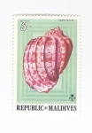 Sellos de Asia - Maldivas -  Caracola. Harpa Major