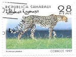 Stamps : Africa : Morocco :  fauna