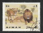 Sellos de Asia - Emiratos �rabes Unidos -  Ajman - 64 - Leones