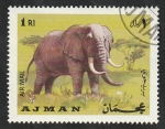Stamps United Arab Emirates -  Ajman - 64 - Elefante