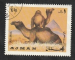 Stamps United Arab Emirates -  Ajman - 64 - Dromedarios
