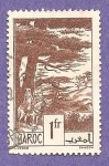 Stamps Morocco -  SC10