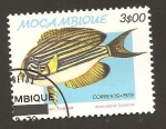 Sellos de Africa - Mozambique -  645