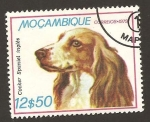 Stamps Mozambique -  666