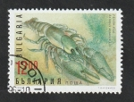 Sellos de Europa - Bulgaria -  3684 - Crustáceo, astacus astacus lin.