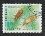 Stamps Bulgaria -  3683 - Crustáceo, asellus aquaticus lin.