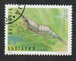 Sellos de Europa - Bulgaria -  3685 - Crustáceo, palaemon serratus pen.
