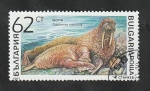 Sellos de Europa - Bulgaria -  3426 - Mamífero marino, odobenus rosmarus