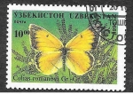 Stamps Asia - Uzbekistan -  81 - Mariposa