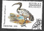 Stamps Madagascar -  1032 - Ibis Sagrado